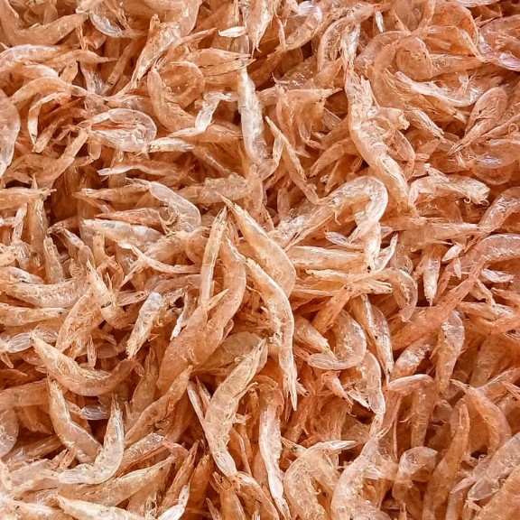 UDANG GERAGAU